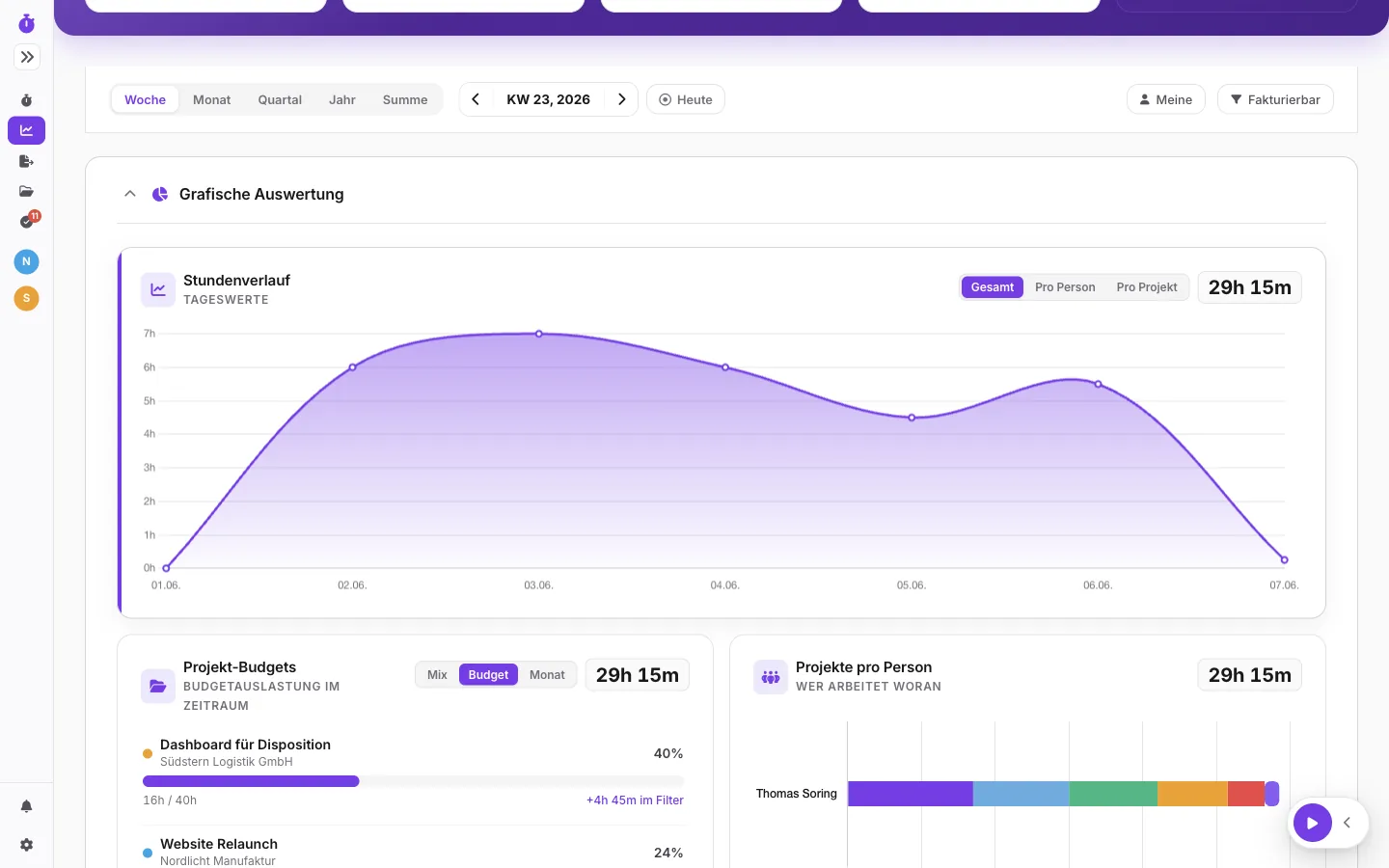 Auswertungen: Stundenverlauf, Budgets, pro Person